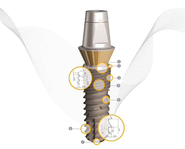 top_implant_-cleanlant_02.jpg